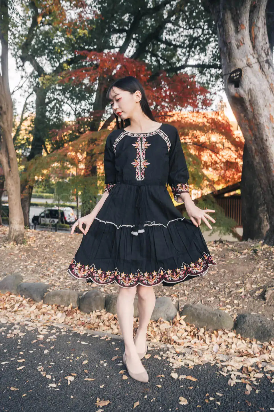 Black Embroidered Fit & Flare Short Dress – Boho Chic Style