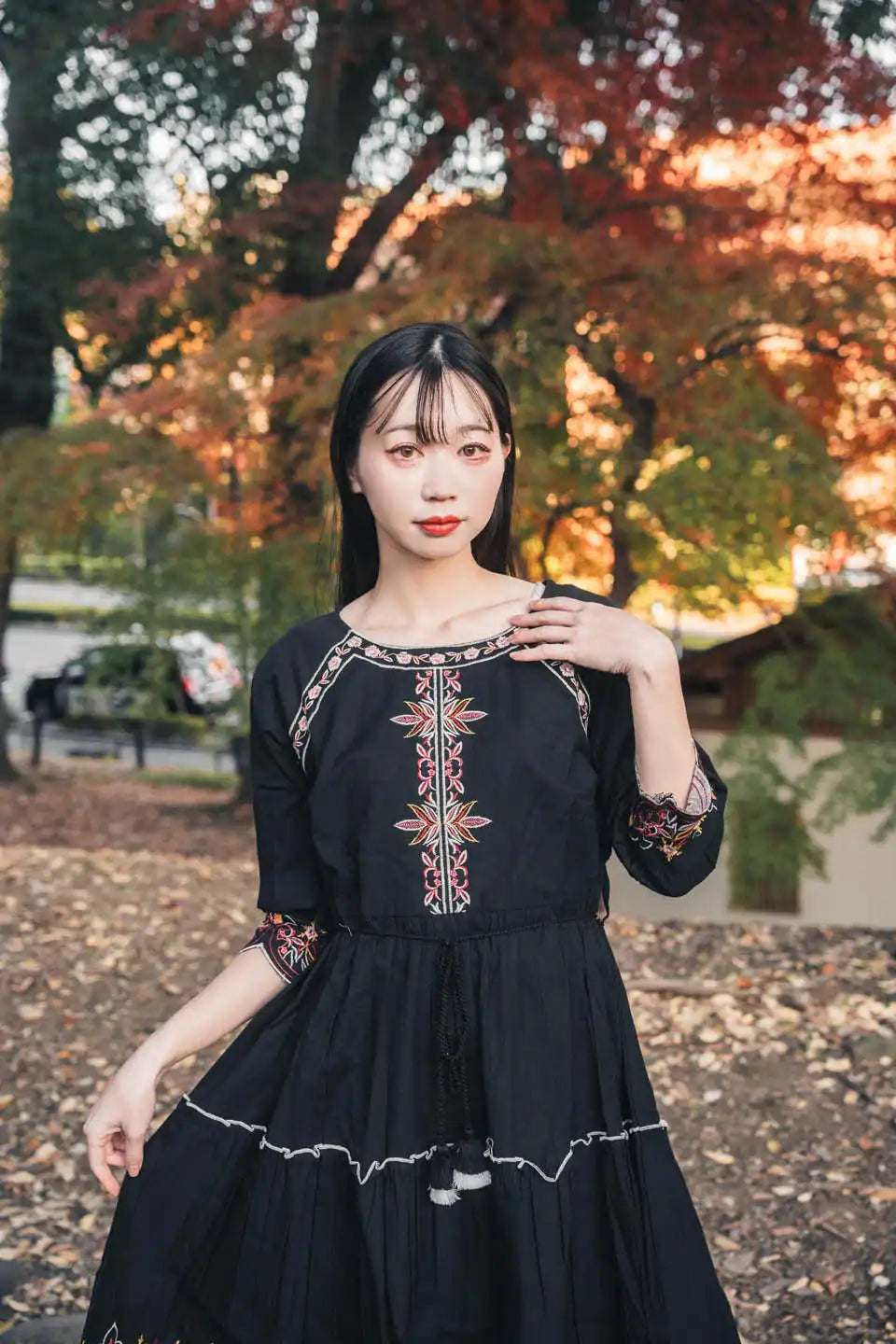 Black Embroidered Fit & Flare Short Dress – Boho Chic Style