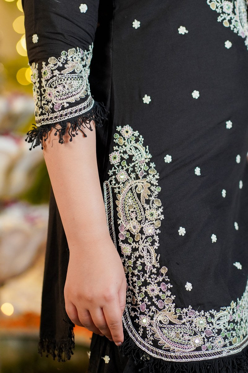 The Cotton Embroidered Beauty