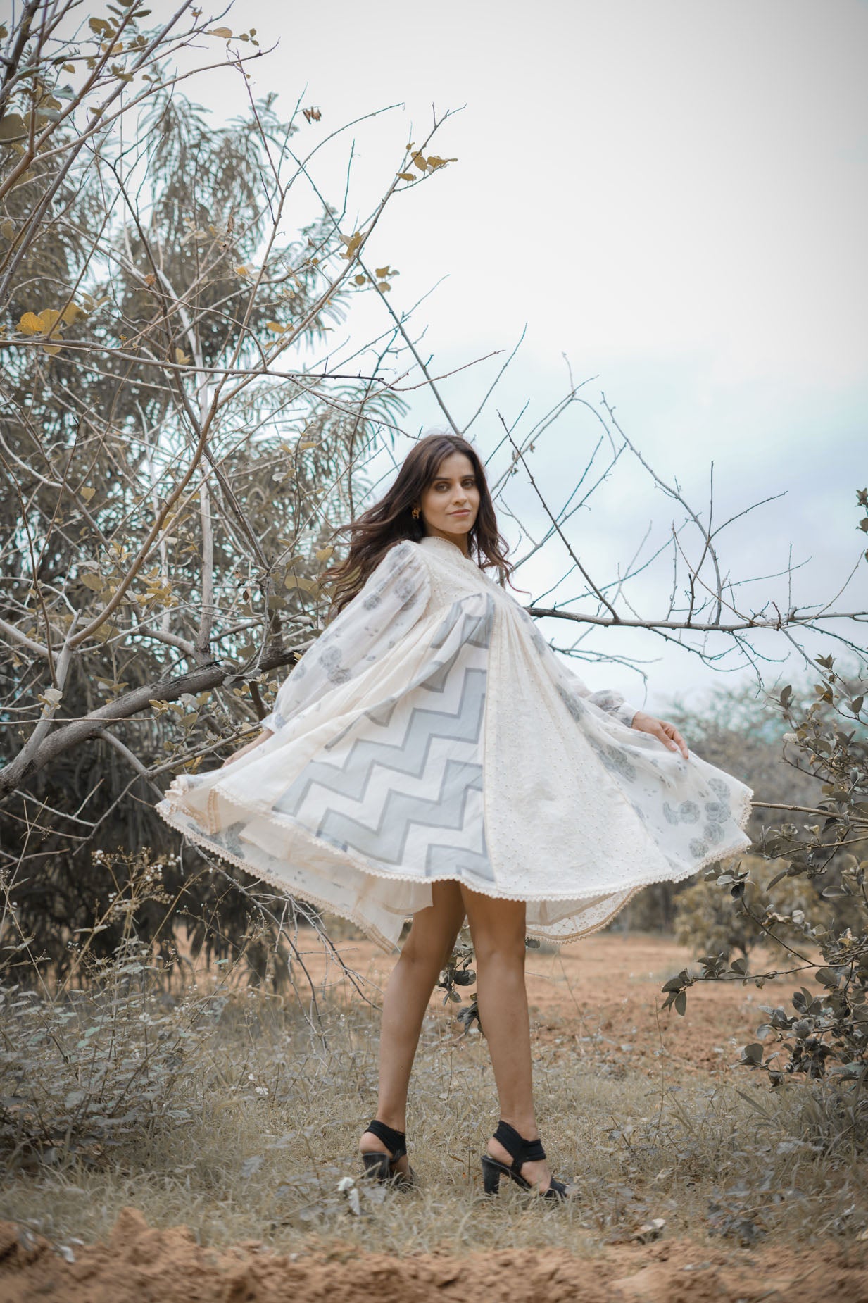 The Dazzling Dress