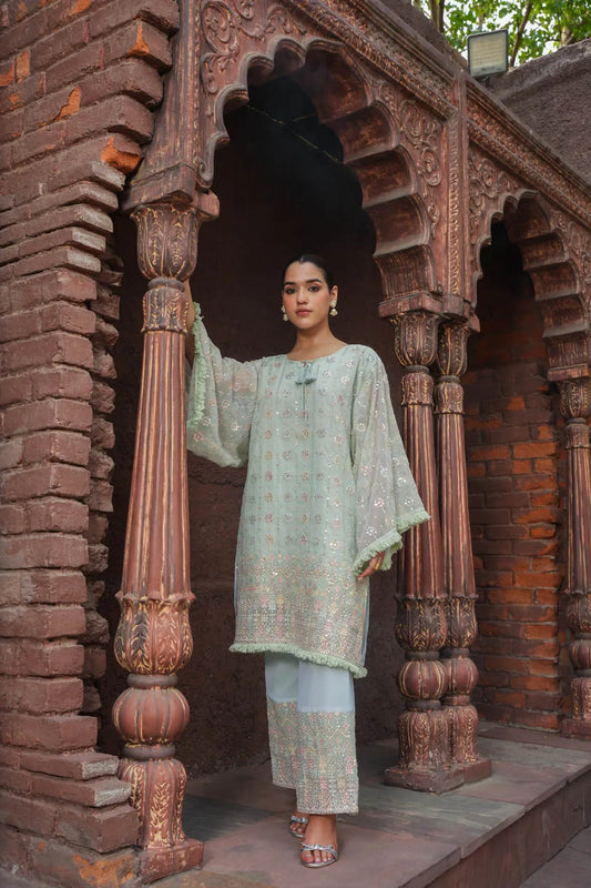 elegant blue embroidered coordinated sets