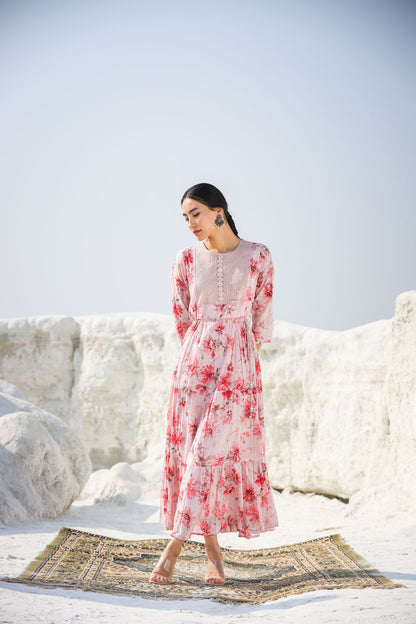 The Cotton Flowers