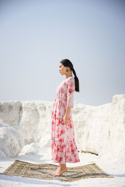 The Cotton Flowers