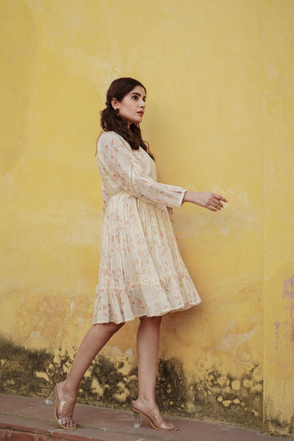 The Extraodinary Dress