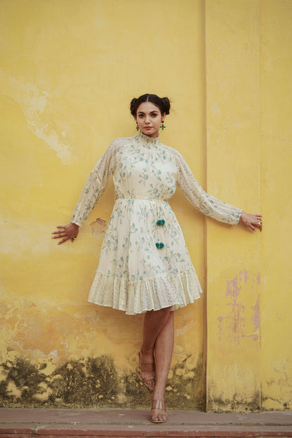 The Extraodinary Dress