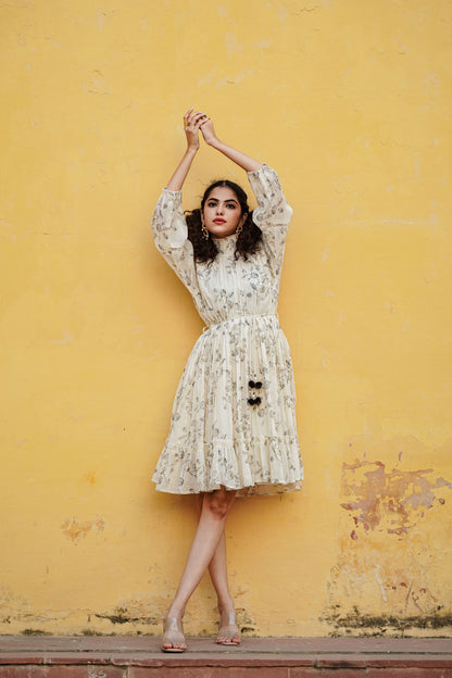 The Extraodinary Dress