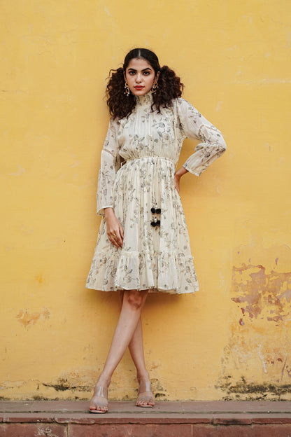 The Extraodinary Dress