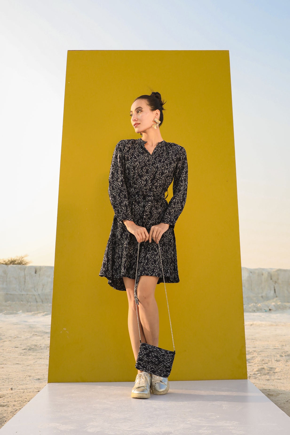 The Stylish Dress