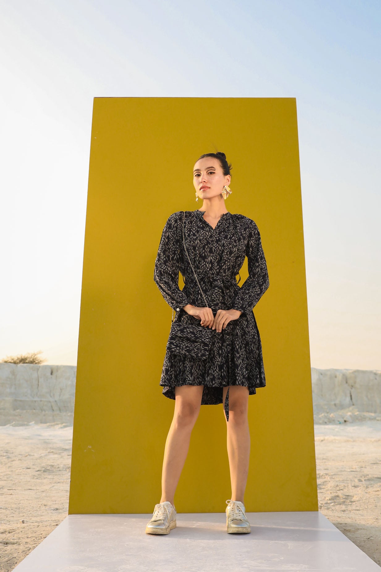 The Stylish Dress