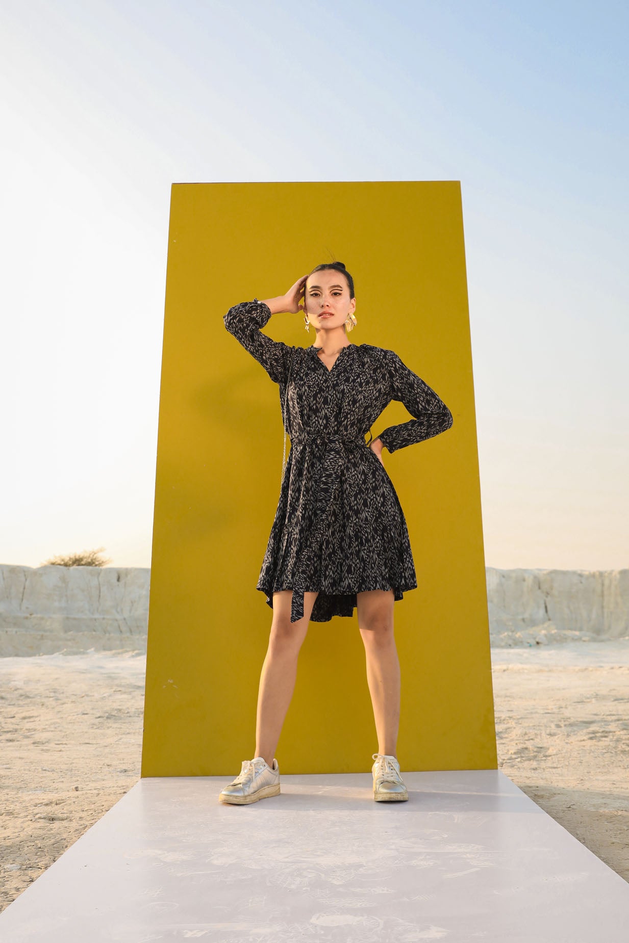 The Stylish Dress