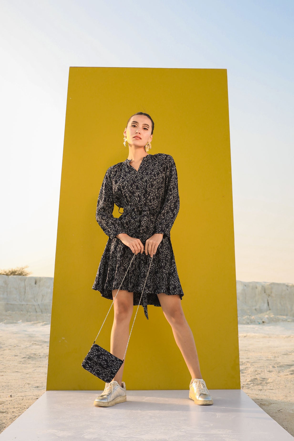 The Stylish Dress