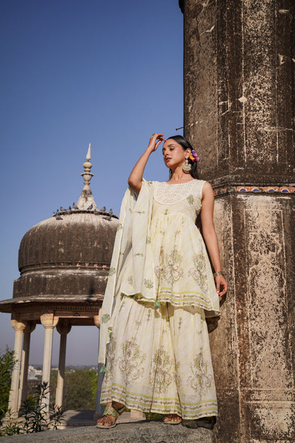 The Pastel Sharara Set