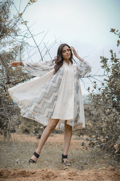 The Dazzling Dress